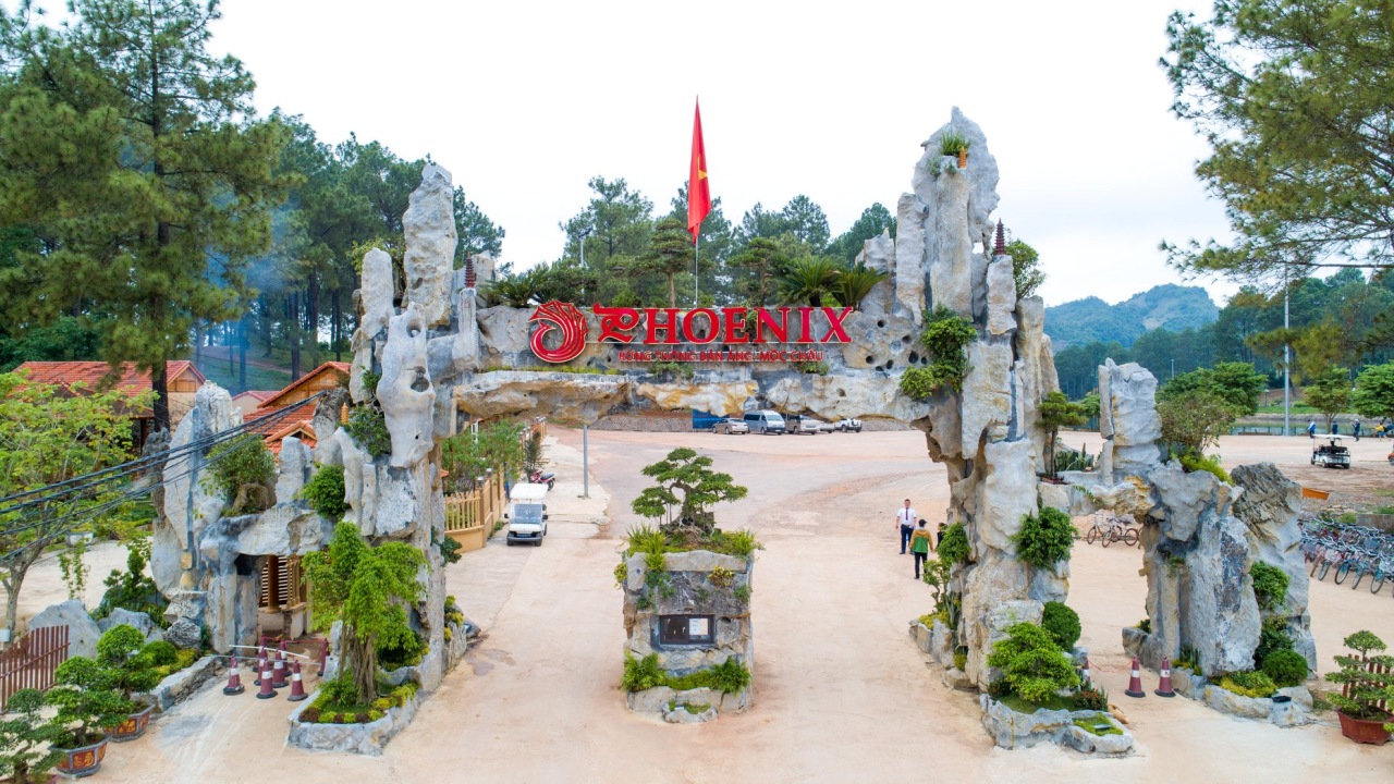 Phoenix Mộc Châu được đánh giá là resort đẹp tại Mộc Châu